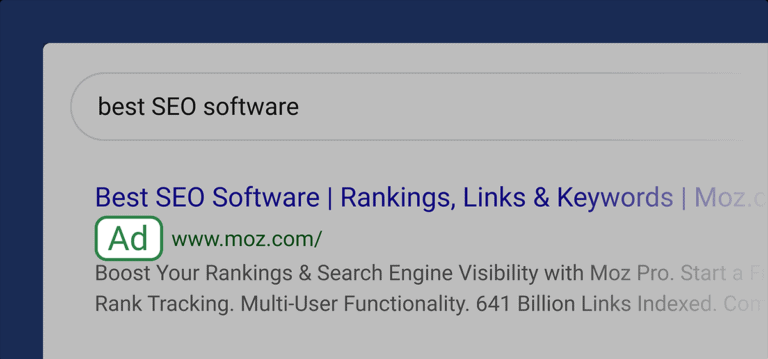 Paid Search Results Ads